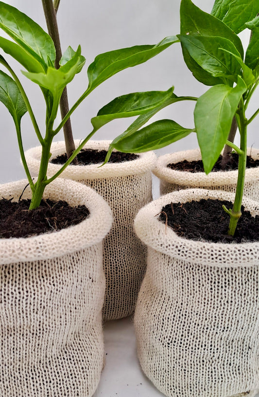 10 Wool Pots - Eco-Friendly - wool Pot - Biodegradable