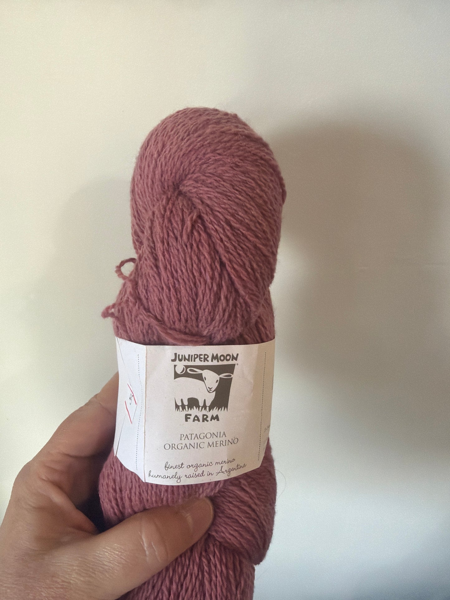 Juniper Moon Farm Patagonia Organic Merino Hand paints