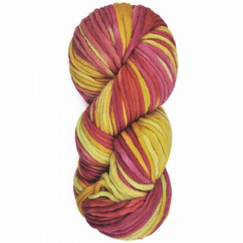 Araucania Tierra del Fuego