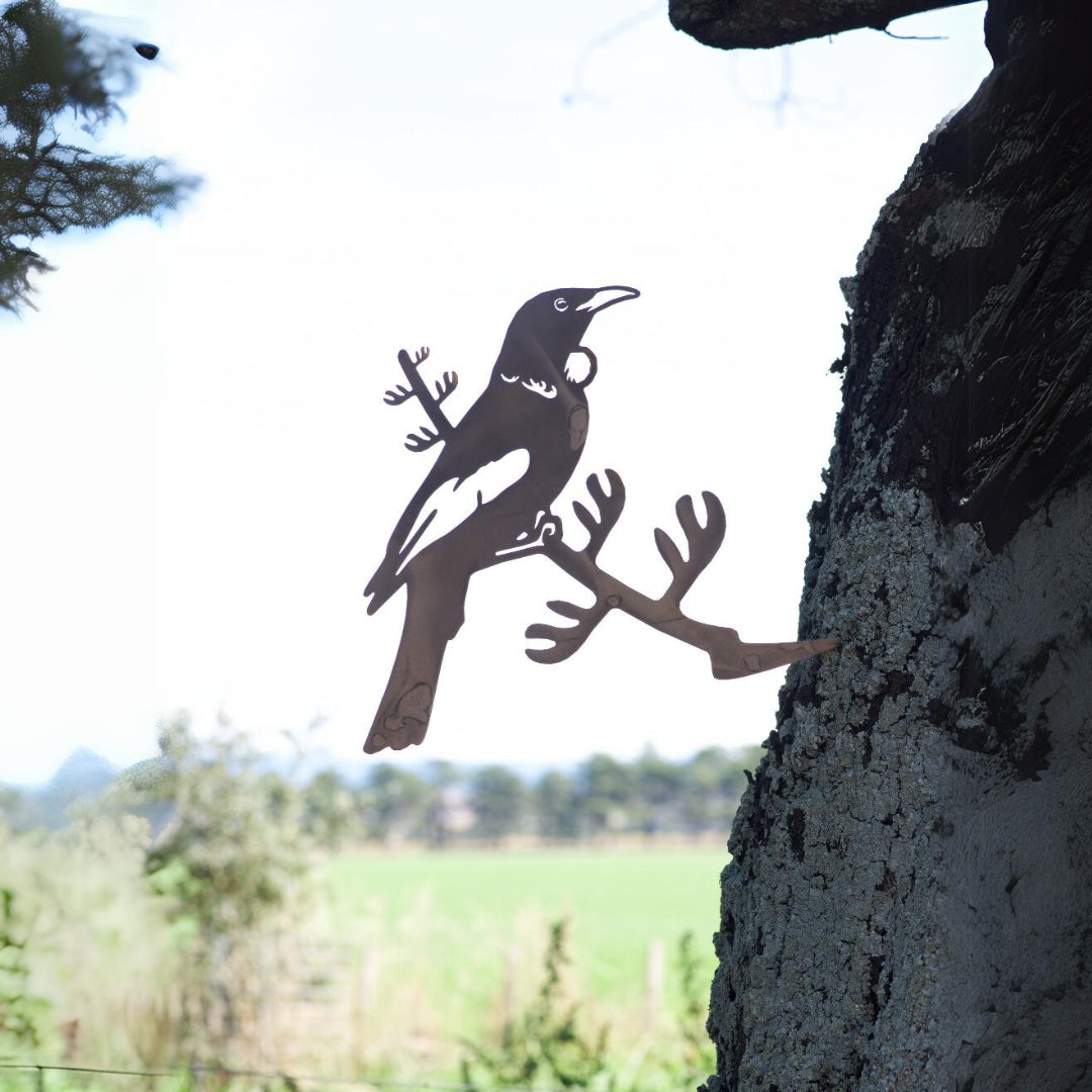 Tui