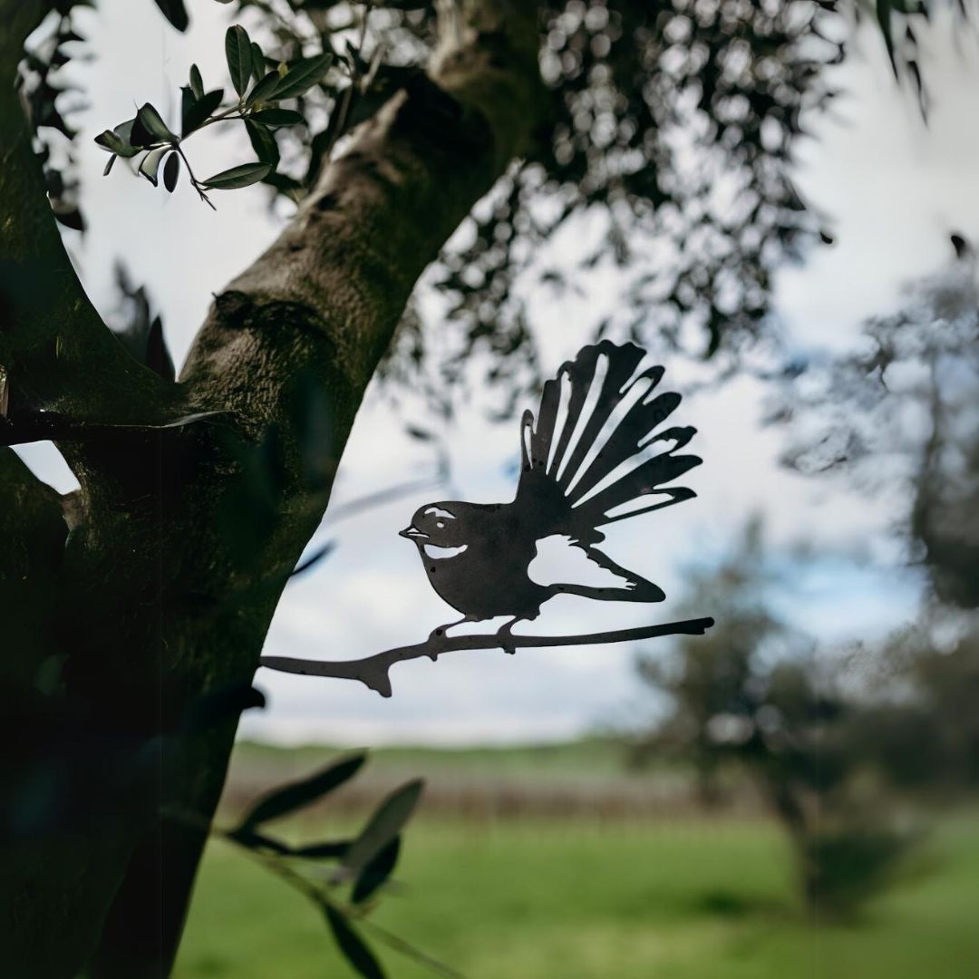 Fantail