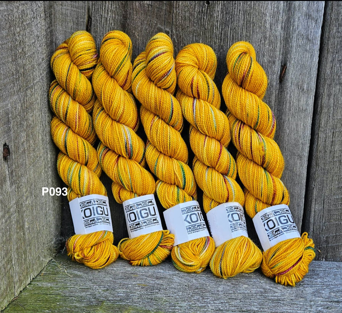 Koigu Wool Designs - KPPPM COLOR COLLECTION 10 skeins/bag