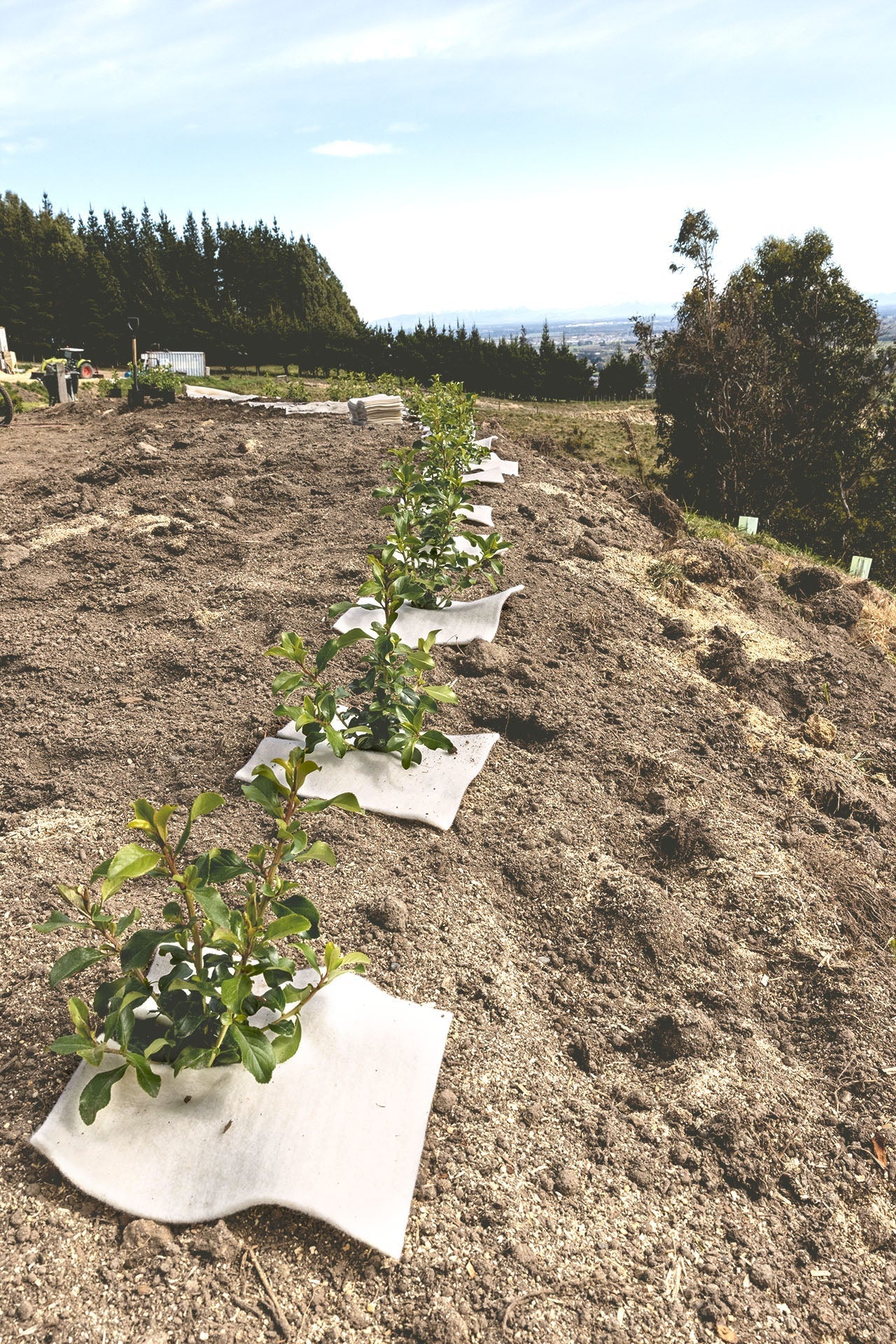 Mulch & Weed Mat from 100% Recycled NZ Wool
